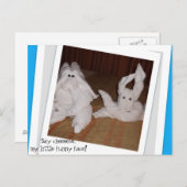 チーシーーと言っておもしろい私の小さな顔! ポストカード (正面/裏面)