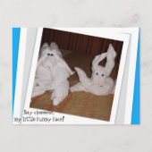 チーシーーと言っておもしろい私の小さな顔! ポストカード (正面)