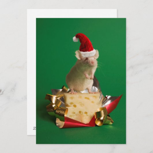 チーズが付いているサンタの帽子を持つマウス シーズンカード (正面/裏面)