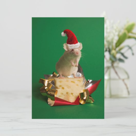 チーズが付いているサンタの帽子を持つマウス シーズンカード (スタンド正面)