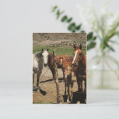 チーズと言え！ :) ポストカード (スタンド正面)