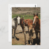 チーズと言え！ :) ポストカード (正面/裏面)