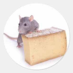 チーズを持つラット ラウンドシール