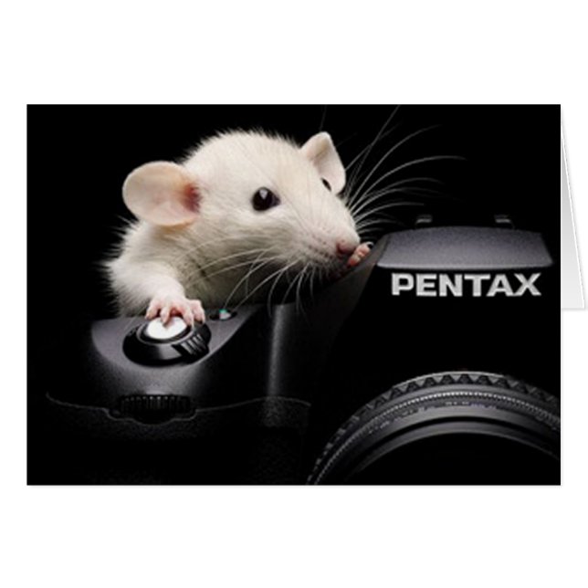 チーズを言って下さい! (正面横)