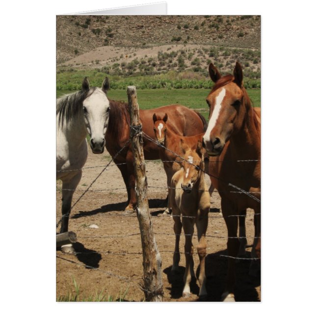 チーズを.....言って下さい! (正面)