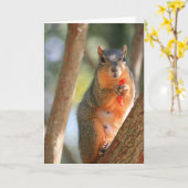 チーズパフの挨拶状、ノートカリフォルニアを握っているリス カード (黄色い花)