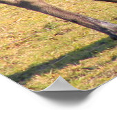 「チーズ」と言うムース ポスター (角)