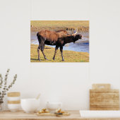 「チーズ」と言うムース ポスター (キッチン)