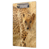 チーズ/クリップボード クリップボード (左)