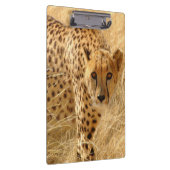 チーズ/クリップボード クリップボード (右)