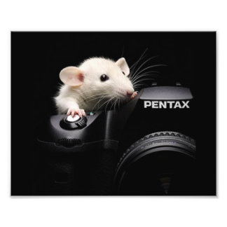 チーズ！ フォトプリント           