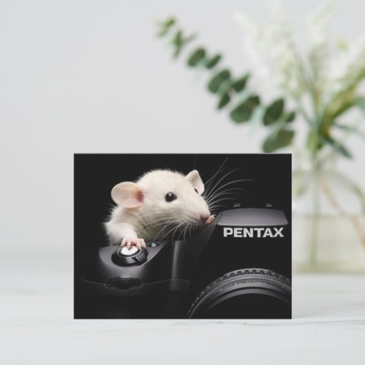 チーズ！ ポストカード (スタンド正面)