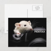 チーズ！ ポストカード (正面/裏面)