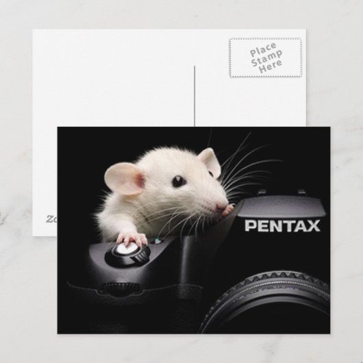 チーズ！ ポストカード (正面/裏面)