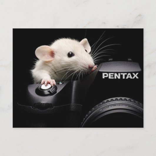 チーズ！ ポストカード (正面)