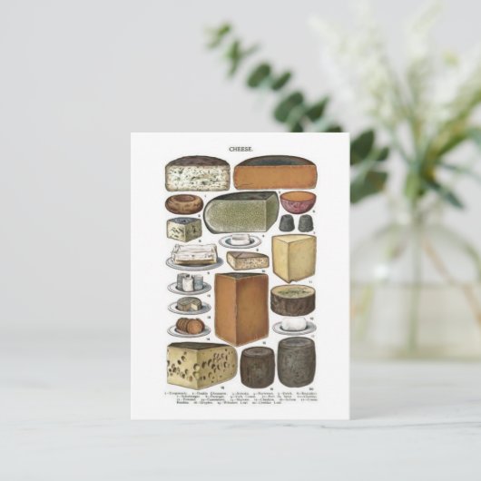 チーズ ポストカード (スタンド正面)