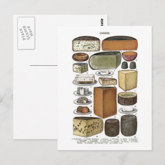 チーズ ポストカード (正面/裏面)