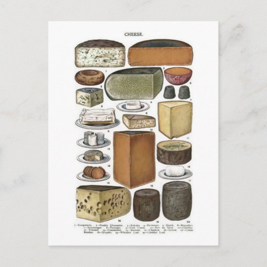 チーズ ポストカード (正面)