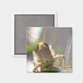 チーズ！ マグネット (正面/裏面)