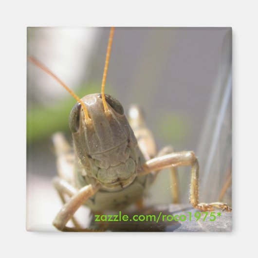 チーズ！ マグネット (正面)