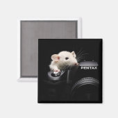 チーズ！ マグネット (正面/裏面)