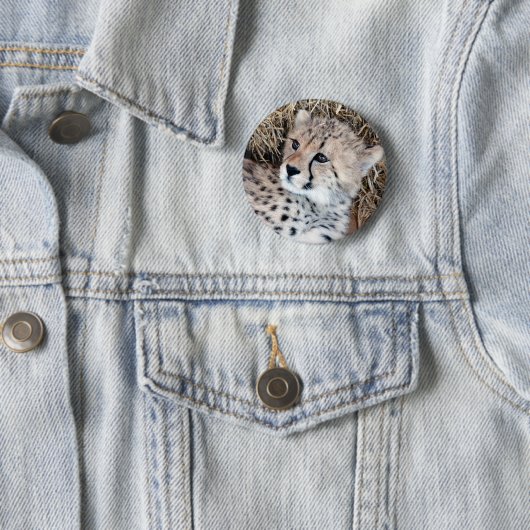 チータのカブスのかわいい写真 缶バッジ (インサイチュ)