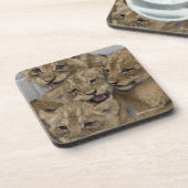 チータのカブスの遊ぶこと コースター (左側)