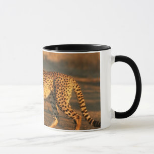 チータのコーヒー・マグ マグカップ