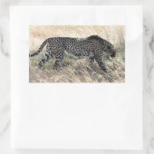 チータのステッカー1 長方形シール (バッグ)