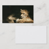 チータのプロフィールカード 名刺 (正面/裏面)