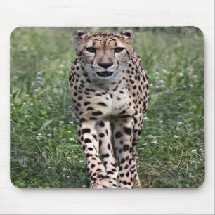 チータのマウスパッド マウスパッド