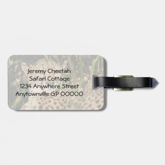 チータの写真 ラゲッジタグ (裏面横)