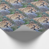 チータの写真 ラッピングペーパー (角)
