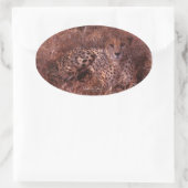 チータの凝視の楕円形のステッカー 楕円形シール (バッグ)