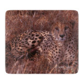 チータの凝視 カッティングボード (正面)