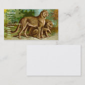 チータの名刺 名刺 (正面/裏面)