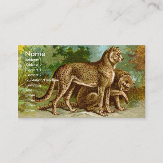 チータの名刺 名刺 (正面)