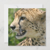 チータの攻撃の招待状 招待状 (正面)