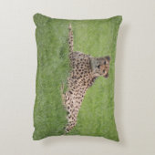 チータの枕 アクセントクッション (裏面(縦))