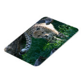 チータオンザ狩り マグネット (左側)