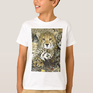 チータカブス2 Tシャツ