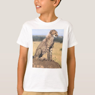 チータカブス3 Tシャツ