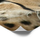 チータネコプリント ポスター (角)