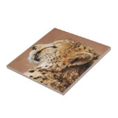 チータプリンス タイル (側面)