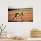 チータポスター ポスター (キッチン)