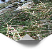 チータリラックスー ポスター (角)