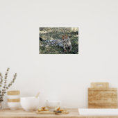 チータリラックスー ポスター (キッチン)