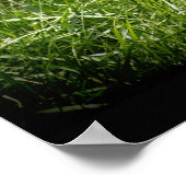 チータワイルドキャットアニマル恋人ワイルドライフポスター ポスター (角)