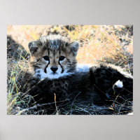 チーターかわいいキャンバスの印刷