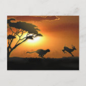 チーターとガゼルのポストカード ポストカード (正面)